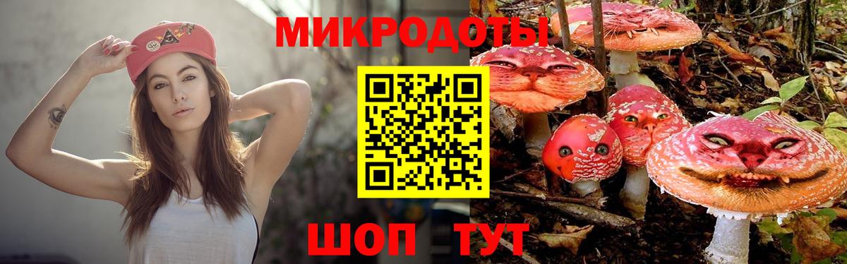 Новоуральск  Галлюциногенные грибы Psilocybine cubensis  Галлюциногенные грибы прущие грибы  Вход с VPN 